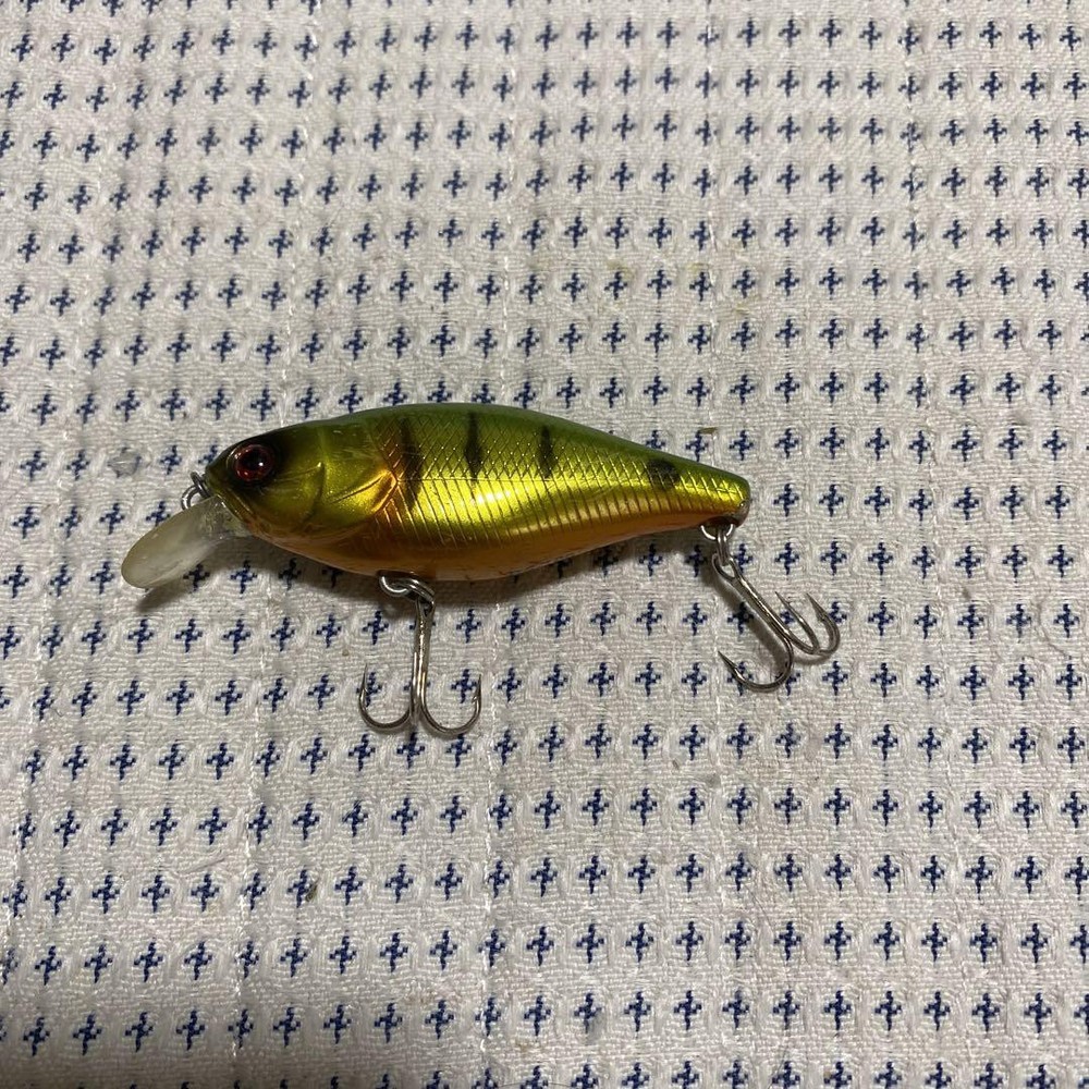 Fishing Lure Jackallrs-100 6Cm