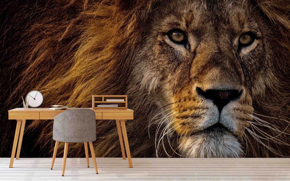 3D Lion Animal Close-up Wall Murals Wallpaper Murals Wall Sticker