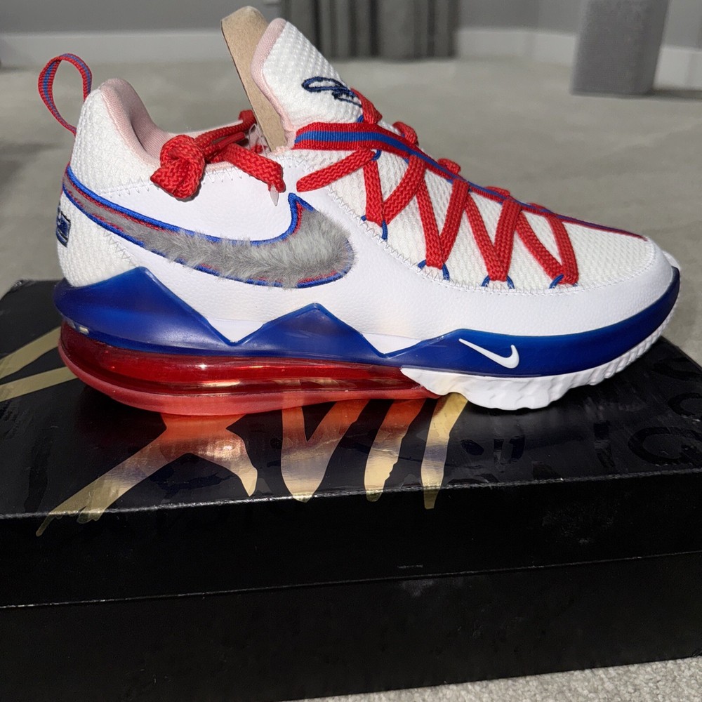 Nike LeBron XVII 17 Low Space Jam Tune Squad StockX Verified Size 10.5