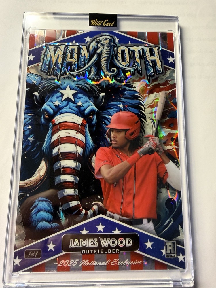 🔥2025 Wild Card Jumbo National Exclusive Mammoth ⚾️ James Wood 1/1 Encased