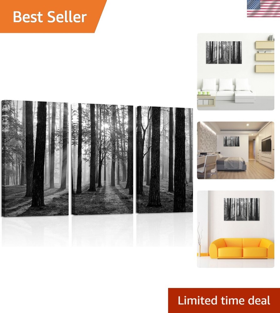 Black and White Nature Forest Landscape Picture Art Prints on Canvas Framed a...