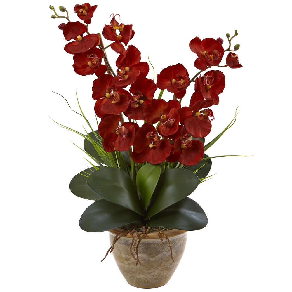 25-inch Rust-Toned Autumn Phalaenopsis Orchid Potted Arrangement Home Decor  -image