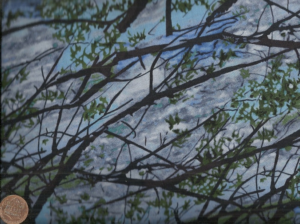 Seasonal Portraits  Judy Niemeyer Timeless Treasures fabric 16 inch piece-image