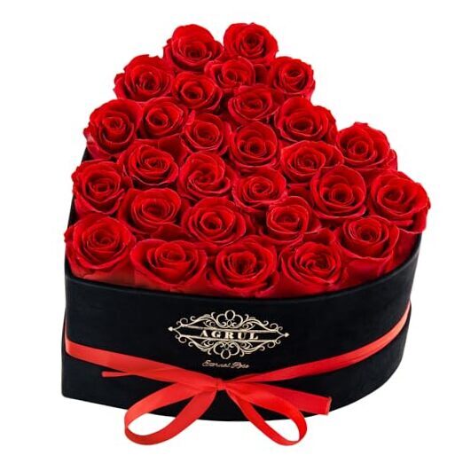 Mothers Day Roses Gifts for Mom-Forever Flowers Roses in a Box 28 ROSE Red-image
