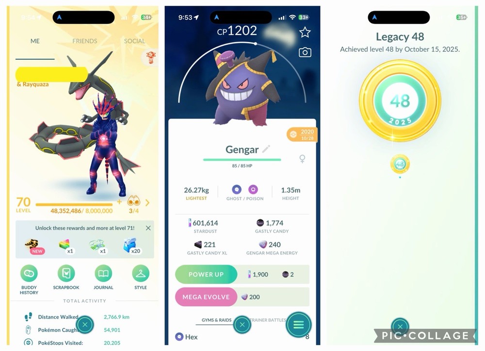 Pokémon LVL70- LEGACY LVL 48✨289 LEGENDARY✨347 SHINY✨83 PERFECT