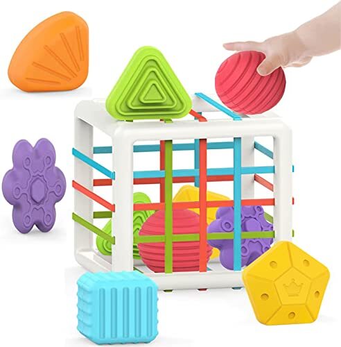 MINGKIDS Montessori Toys for 1 Year OldBaby Sorter Toy 6 Pcs Multi Sensory Sh...