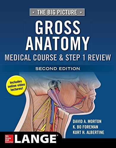 The Big Picture: Gross Anatomy, - Paperback, by Morton David A.; - Acceptable w