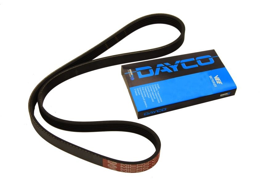 DAY Multi Ribbed Belt for 3 Coupe, 3 Kabriolets, 3 Touring, 5, 5 Touring
