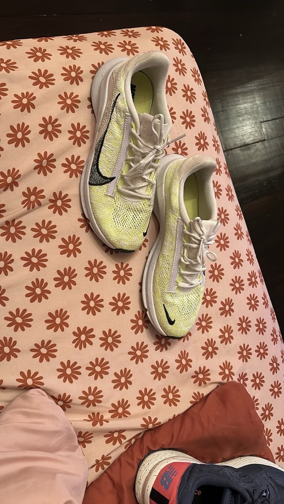 Tenis