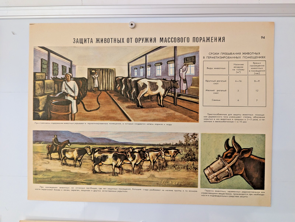 Cold War Soviet Radiation Safety Poster - Chernobyl Cowshed Protection ☢️