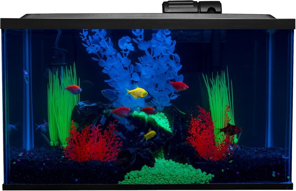 GloFish 10 Gallon Aquarium Kit with LED Lighting and Decor