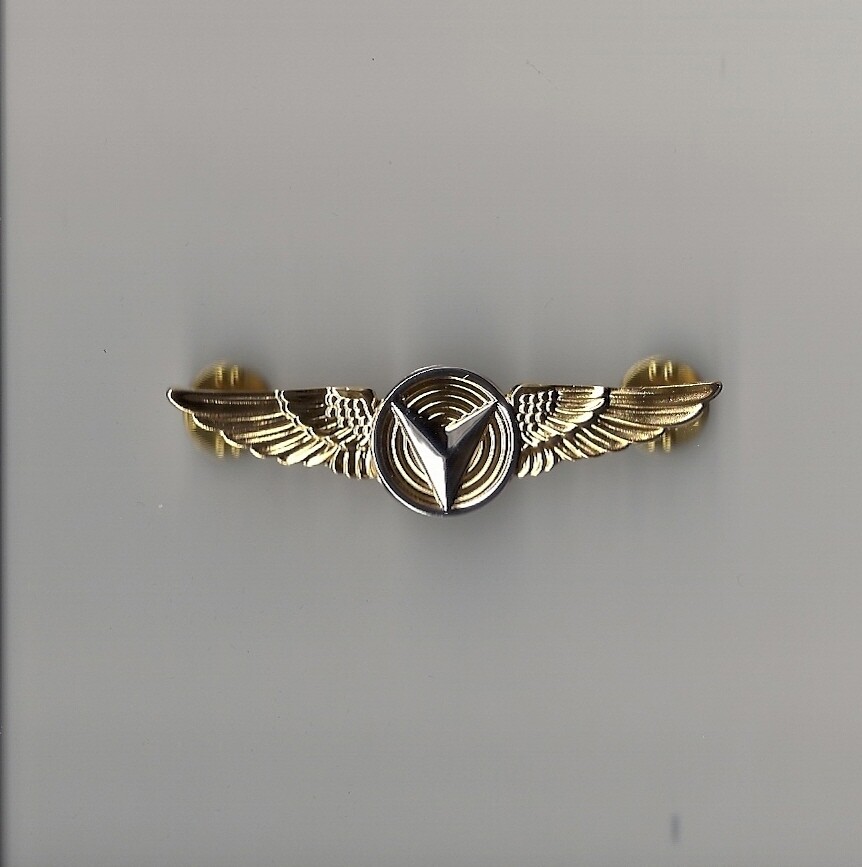 Full size 3-inch US Marine Navy drone wings badge remote enlisted-image