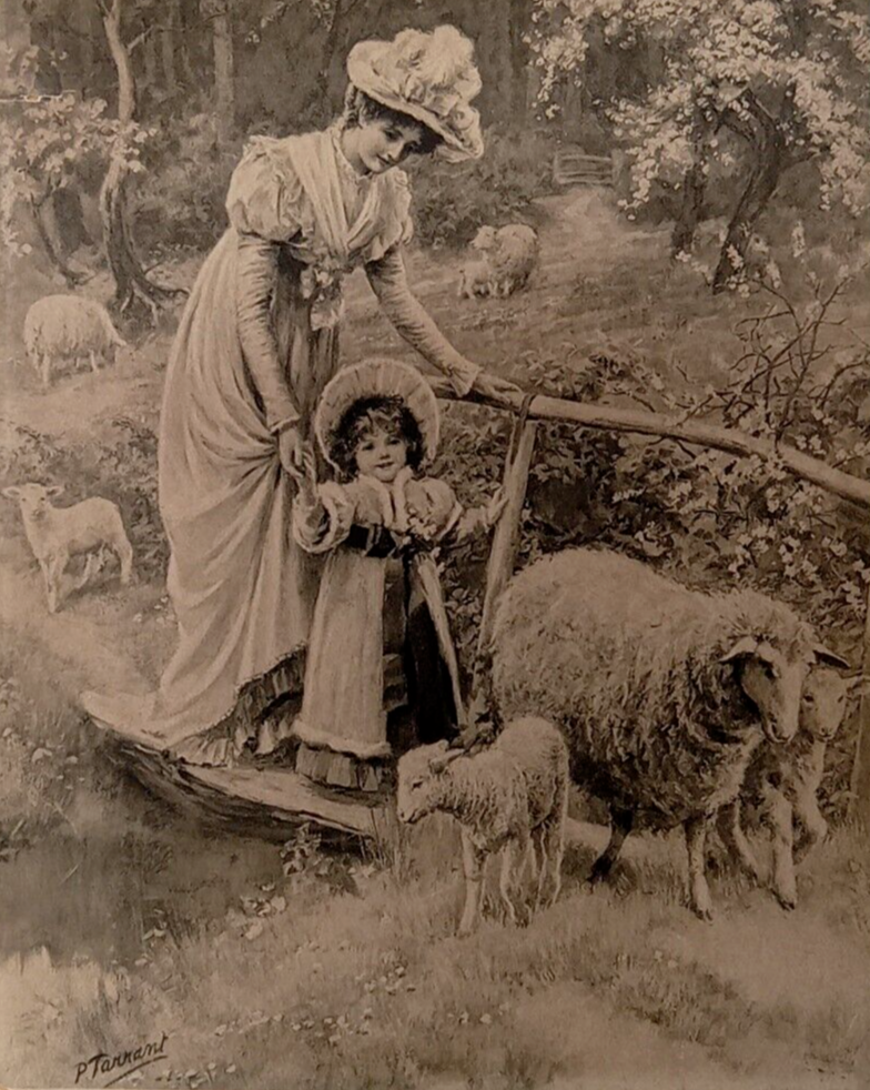 Mothers Day Sheep Bridge Lambs Victorian Board Print by P Tarrant-image