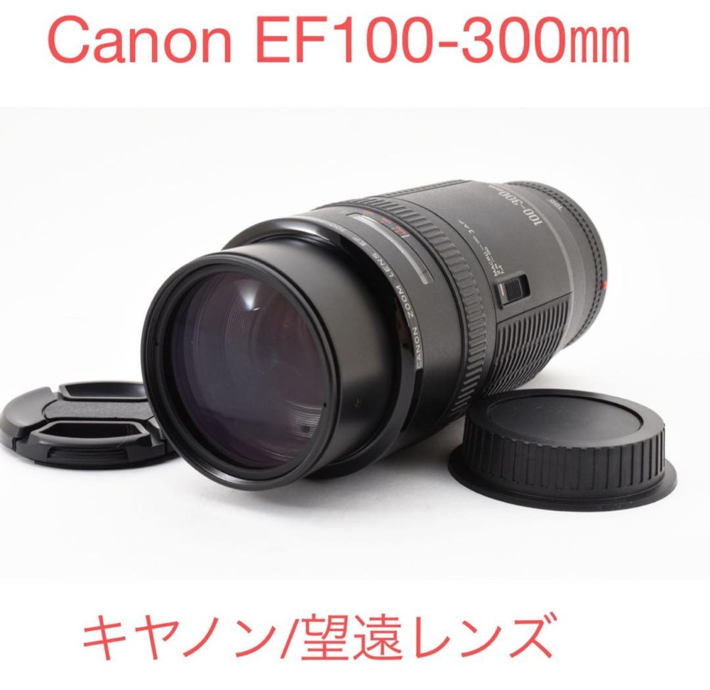 Canon EF 100-300mm F5.6 Telephoto Zoom Lens for DSLR Cameras