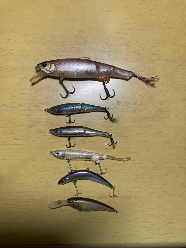 Fishing Lure Jackall lure set Sleek Mikey 115 Spytail Nagisa Twitch