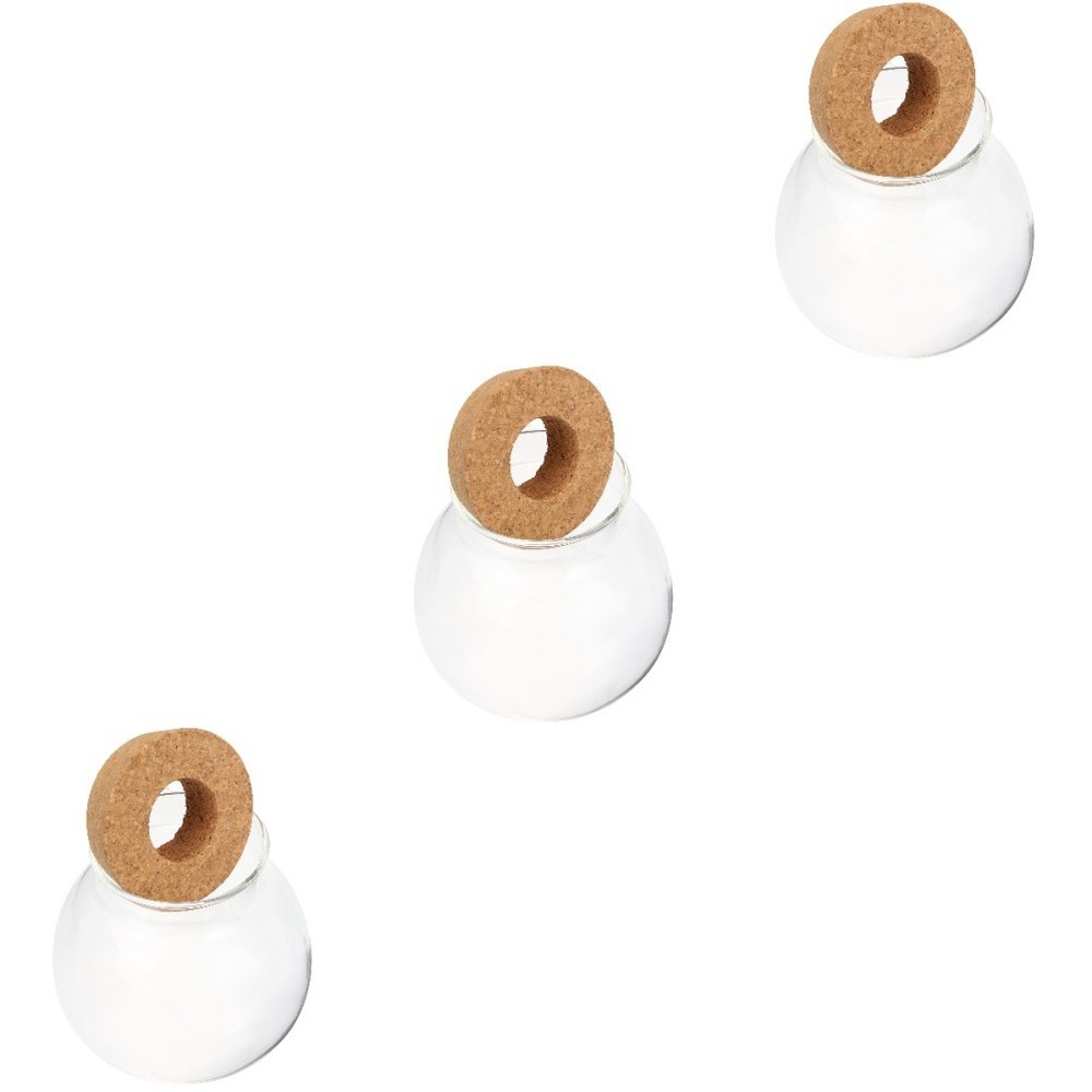 3 Pieces Small Hydroponic Vase Glass Planter Propagation Partner Container