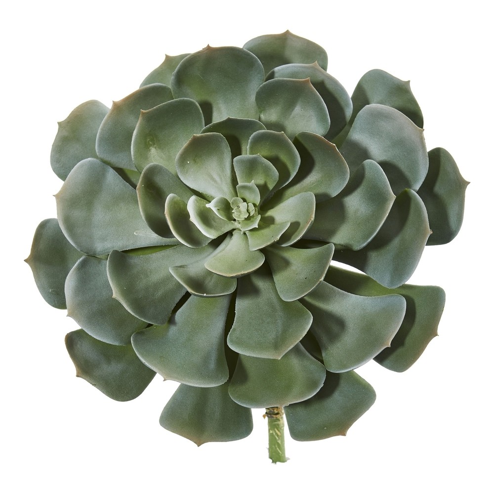 13-inch Giant Artificial Echeveria Succulent Plant Set