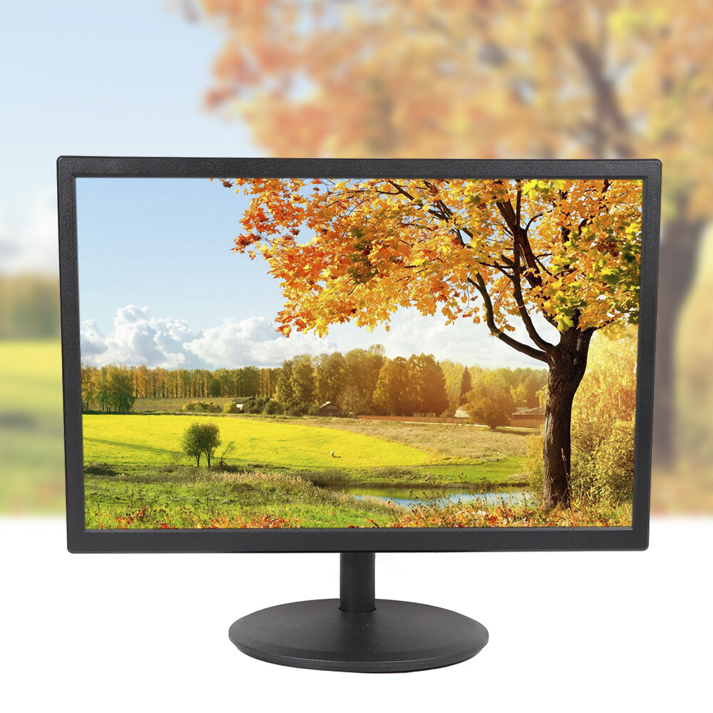 LED Monitor 19