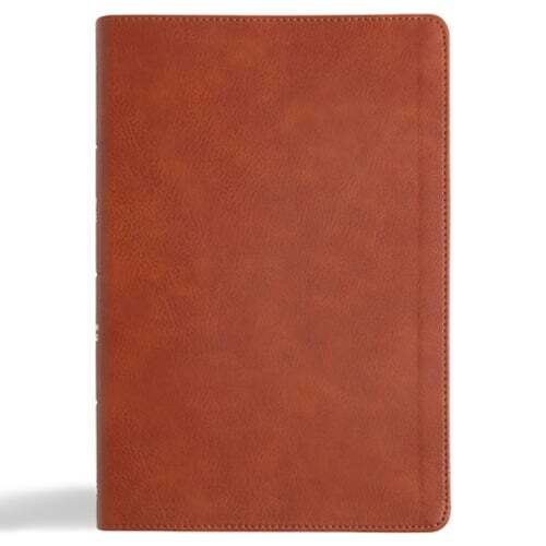 CSB Giant Print Digital Study Bible in Burnt Sienna