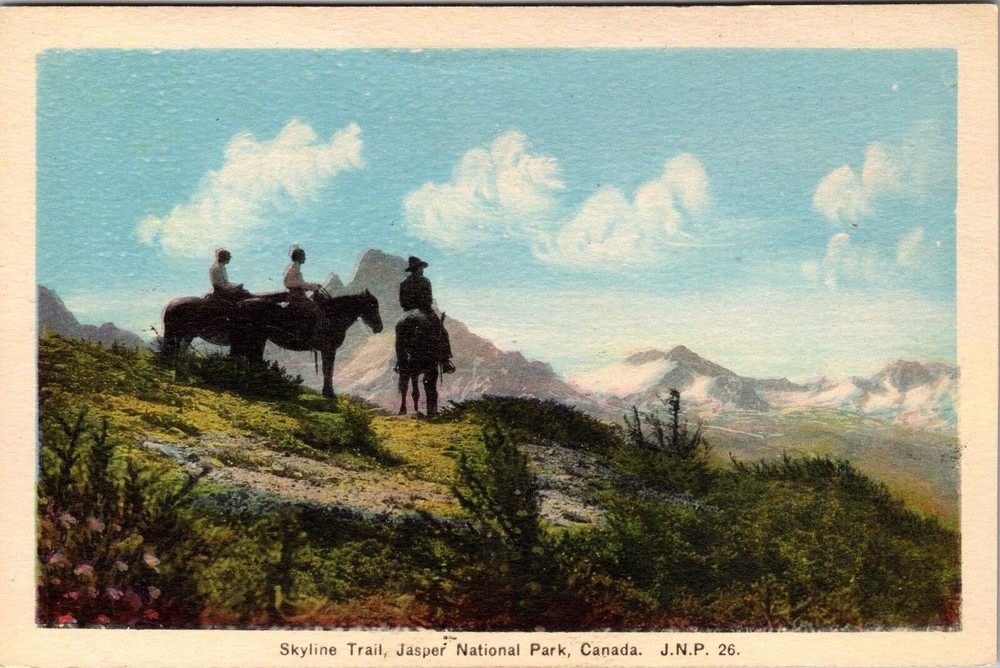 Alberta Canada Jasper National Park Skyline Trail Horse & Riders Linen Postcard