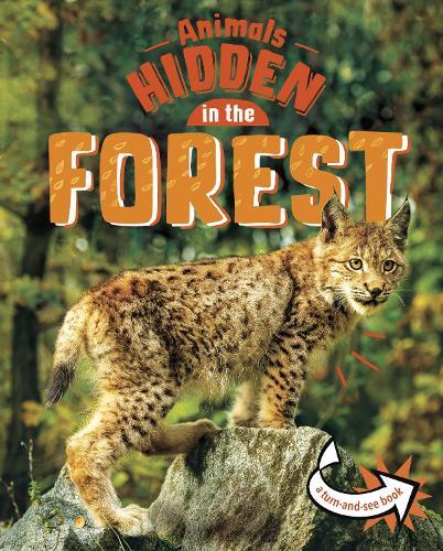 Jessica Rusick Forest Animals Hidden Wildlife Hardcover Camouflage Undercover Nature Book  