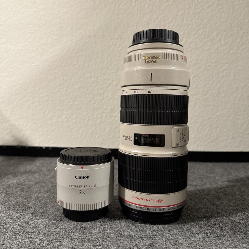 Canon EF 70-200mm f/2.8L IS II USM Telephoto Zoom Lens with Image Stabilization  