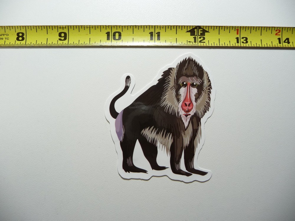 BABOON DECAL STICKER ZOO ANIMAL WILD CUTE FUN