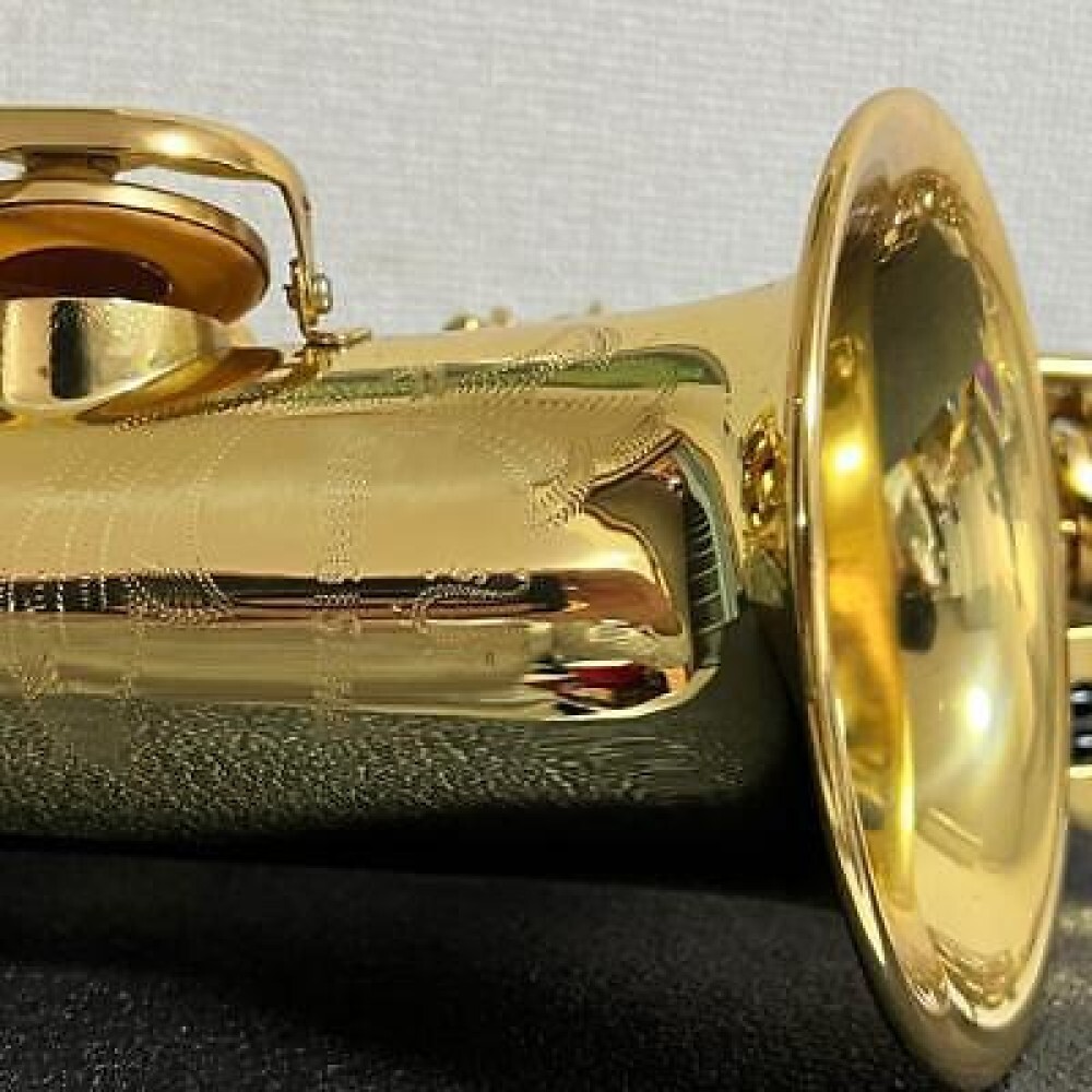Yanagisawa A-500 Alto Saxophone  JUNK with Hard Case Wind instrument From Japan