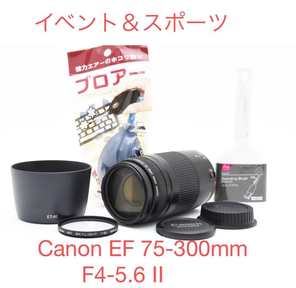 Canon EF 75-300mm f/4-5.6 II Telephoto Zoom Lens with Hood for Sports and Travel Photography