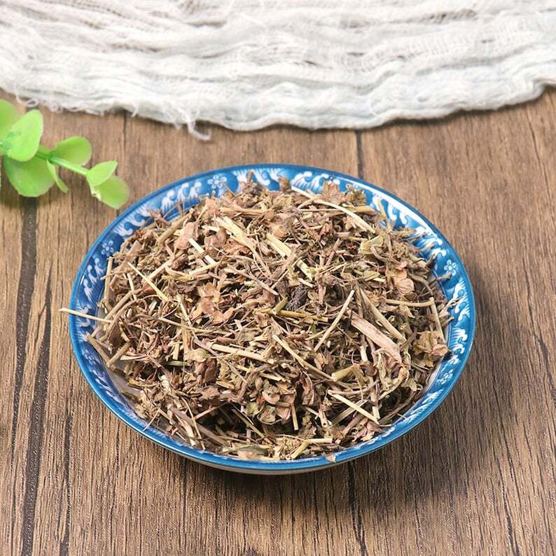 Organic Herbal Veronica Peregrina Great Quality