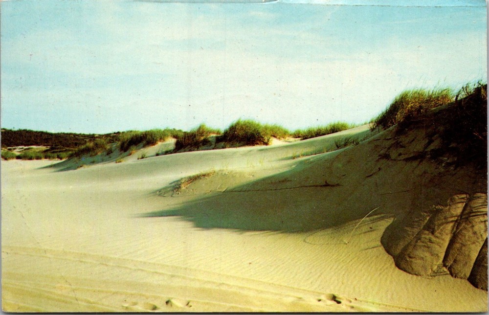 Postcard 1970 Shadows of the Dunes Cape Cod Massachusetts MA