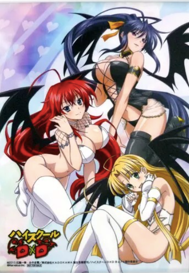 High School DxD Rias & Akeno & Asia A3 Tapestry Mobage Limited 200 japan Anime