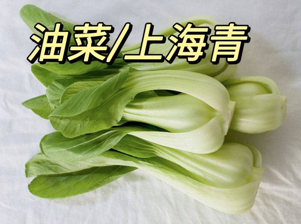 *US Seller*2024 Shanghai Bok choy Seeds  青江菜/油菜种子 蔬菜种子