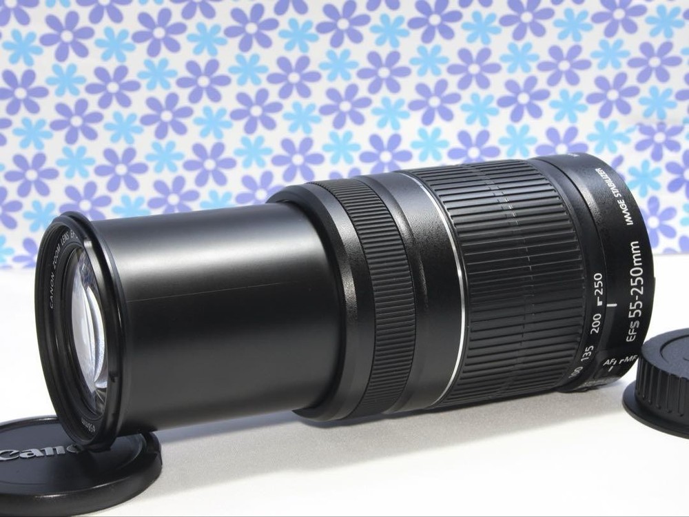 Canon EF-S 55-250mm IS II Lens with Image Stabilization for Stunning Photos