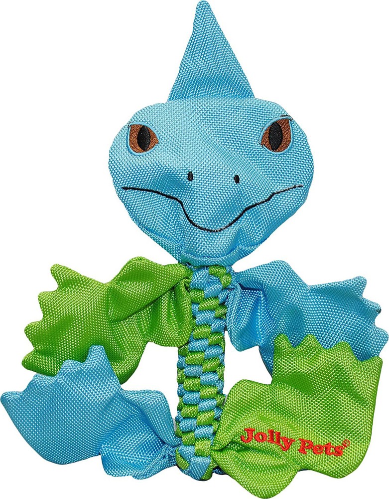 Flathead Tug/Squeak Dog Toy, Iguana, Large