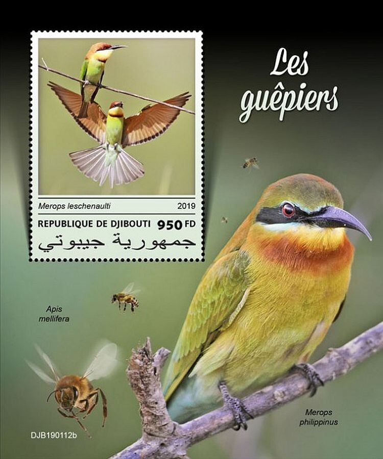 BEE-EATERS 1-Value MNH Bird/Birds Stamp Sheet #150 (2019 Djibouti)
