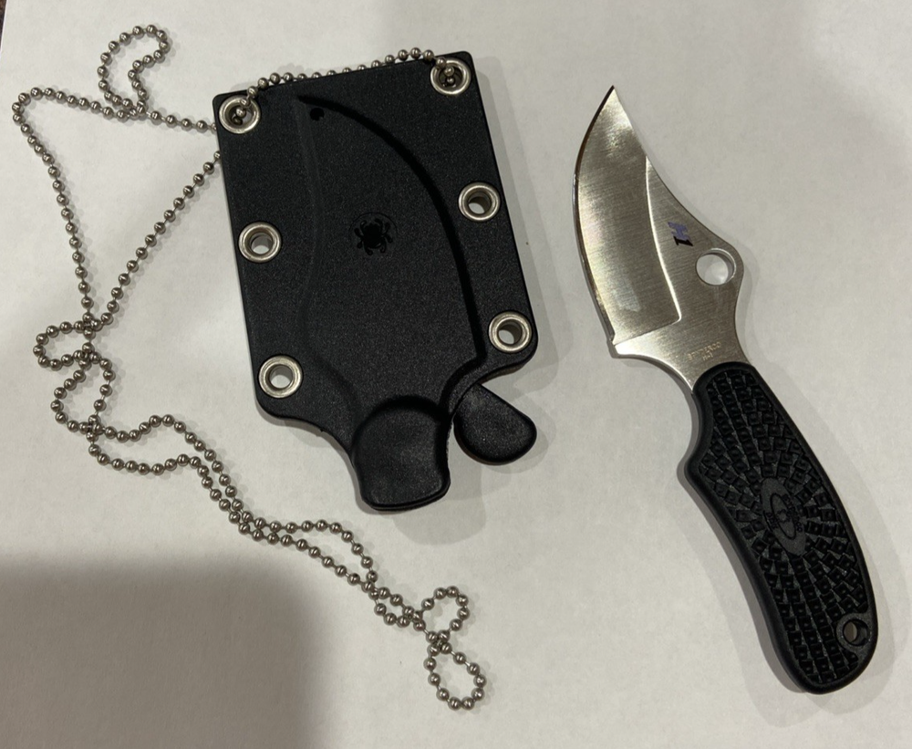 Spyderco Ark Fixed Blade Knife with Black FRN Handle H1 Steel FB35PBK