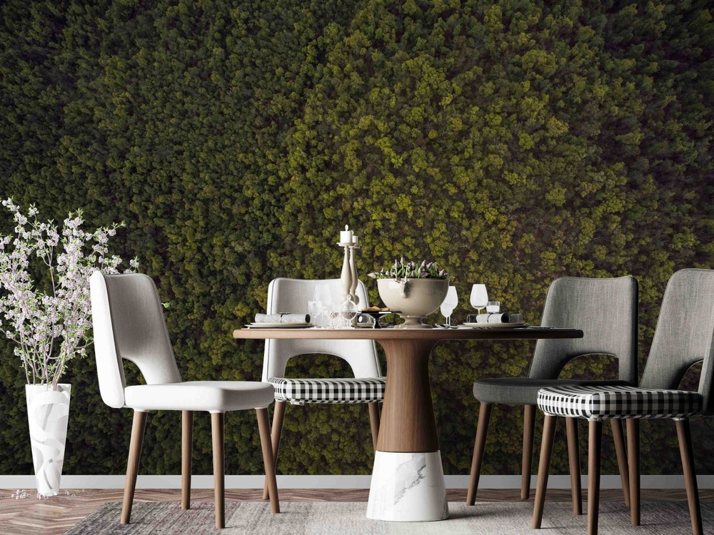 3D Overhead View Forest Landscape Wall Murals Wallpaper Murals Wall Sticker