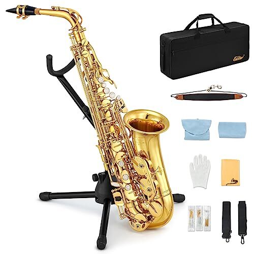 AS-Ⅱ Student Alto Saxophone E Flat Gold Lacquer Alto Sax Full Beginner Golden