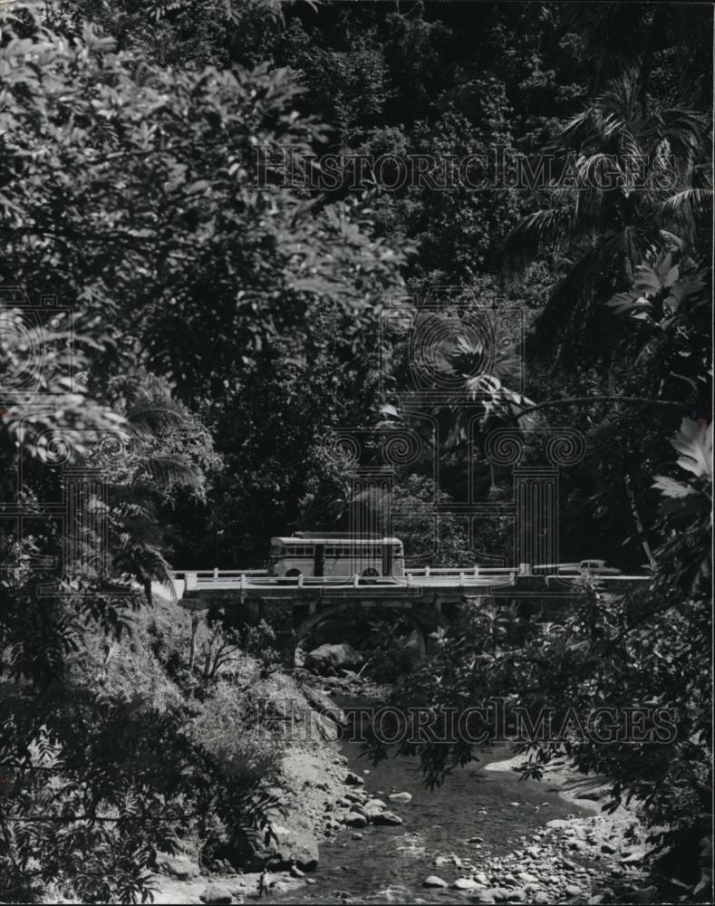 1980 Press Photo Ocho Rios, Jamaica - cvp84635