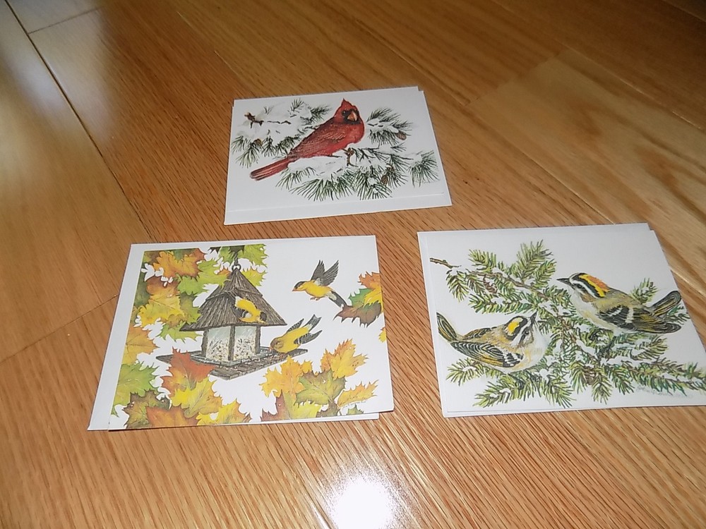 Birds Blank Note Cards Kinglet Goldfinches Cardinal Animals Set 3 Vintage