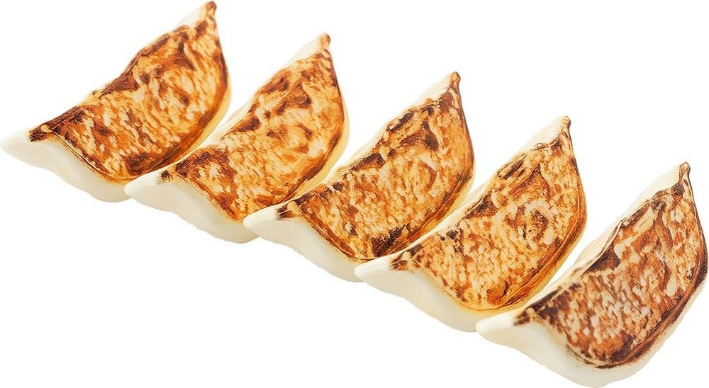 1/1 Scale DIY Gyoza Dumpling Plastic Model Kit - Build Your Own