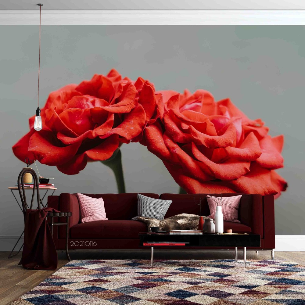 3D Red Rose Plant Close-up Wall Murals Wallpaper Murals Wall Sticker 11