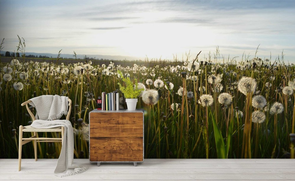3D Sky Dandelion Field Landscape Wall Murals Wallpaper Murals Wall Sticker