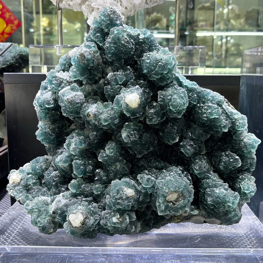 37LB Rare Blue Fluorite Quartz Crystal Specimen with Display Stand