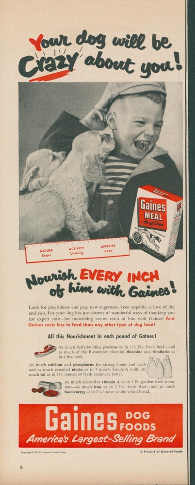 1950 Gaines Meal Dog Food Spaniel Licking Boy Face Playful Pep Ad L40
