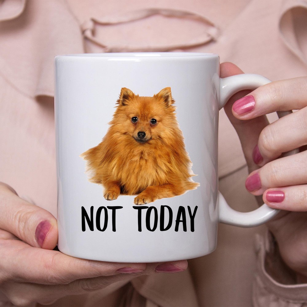 Funny German Spitz Dog Mug Not Today Lazy Gift for Dog Moms