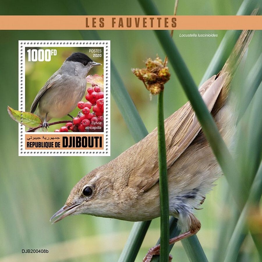 SONGBIRDS 1-Value MNH Bird/Birds Stamp Sheet #181 (2020 Djibouti)