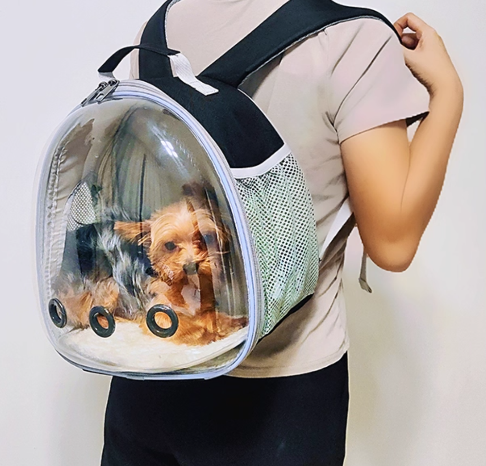 Portable Double-Shoulder Pet Carrier for Small Dogs and Newborn Kittens