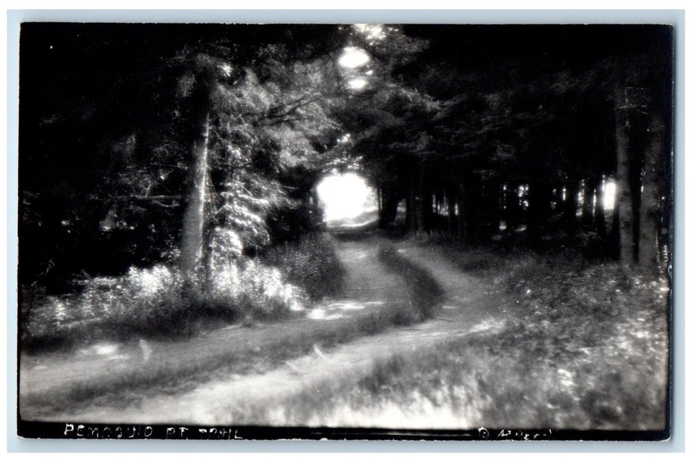 c1930's View Of Pemaquid Point Trail Maine ME Vintage RPPC Photo Postcard